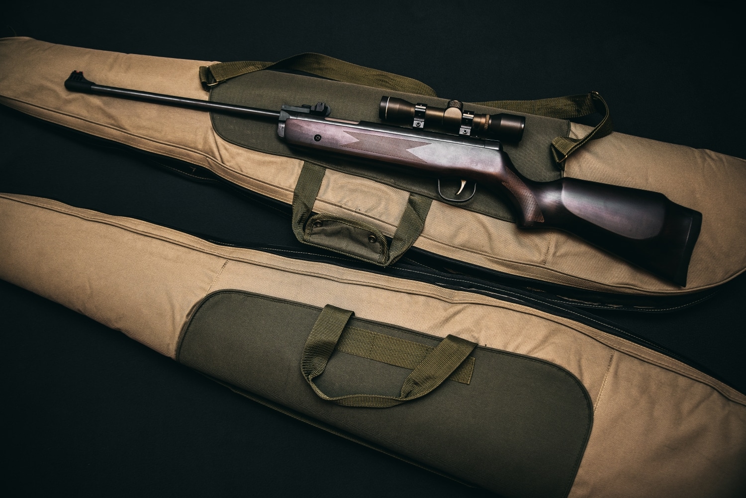 Rifle resting on top of a gun case